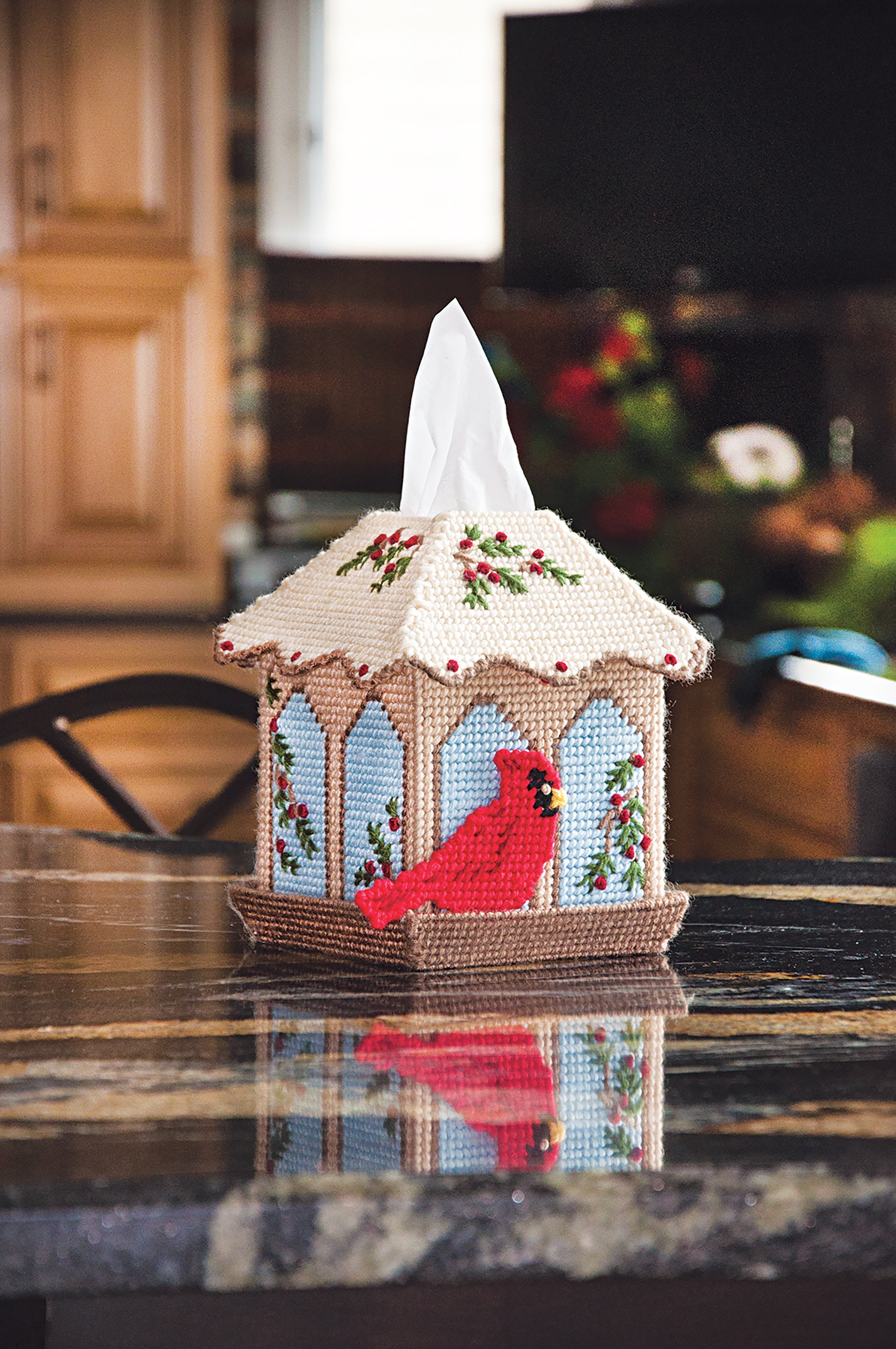 Mary Maxim Plastic Canvas Tissue Box Kit 5" Bird Feeder (7 Count)