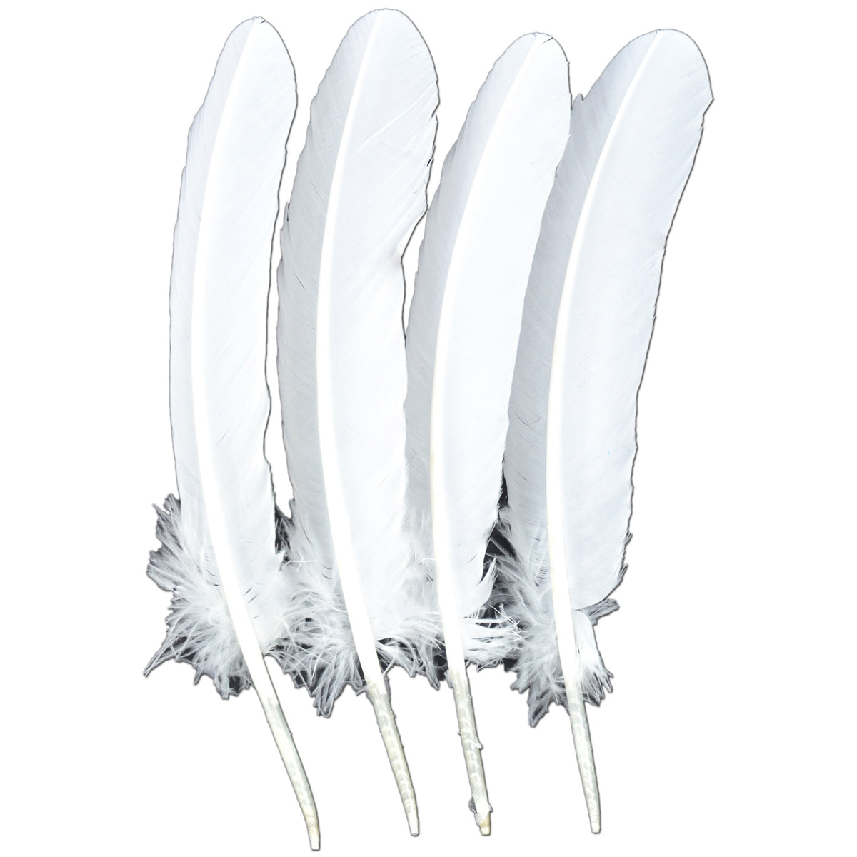 Turkey Rounds Feathers 4/Pkg White
