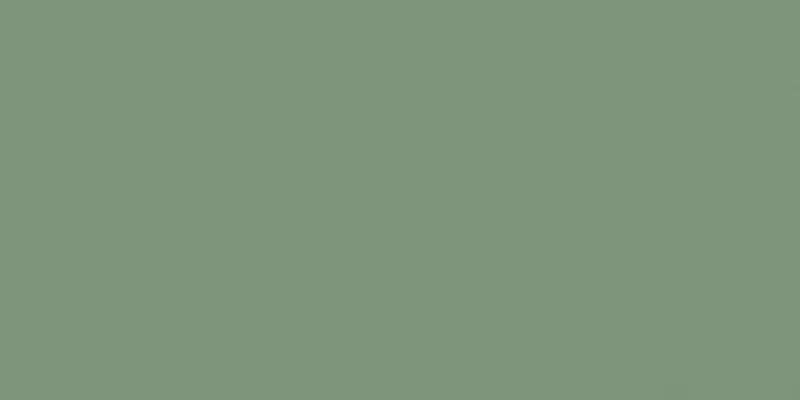Americana Acrylic Paint 2oz Desert Cactus