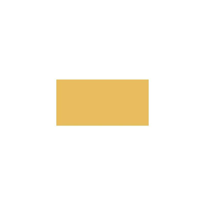 Distress Paint Flip Top 1oz Mustard Seed