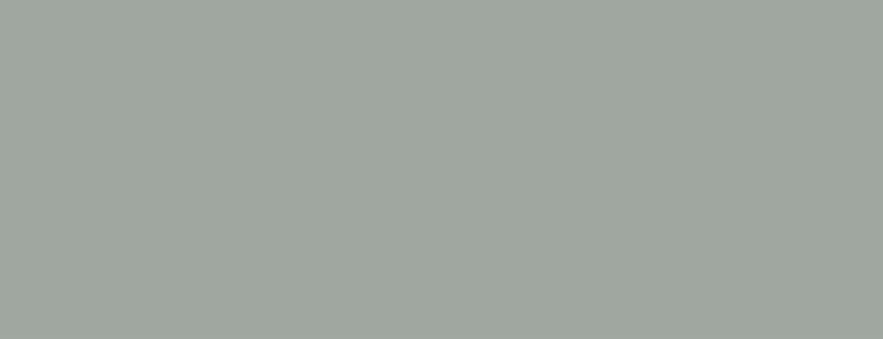 17ml Bottle Light Gull Grey Model Air 