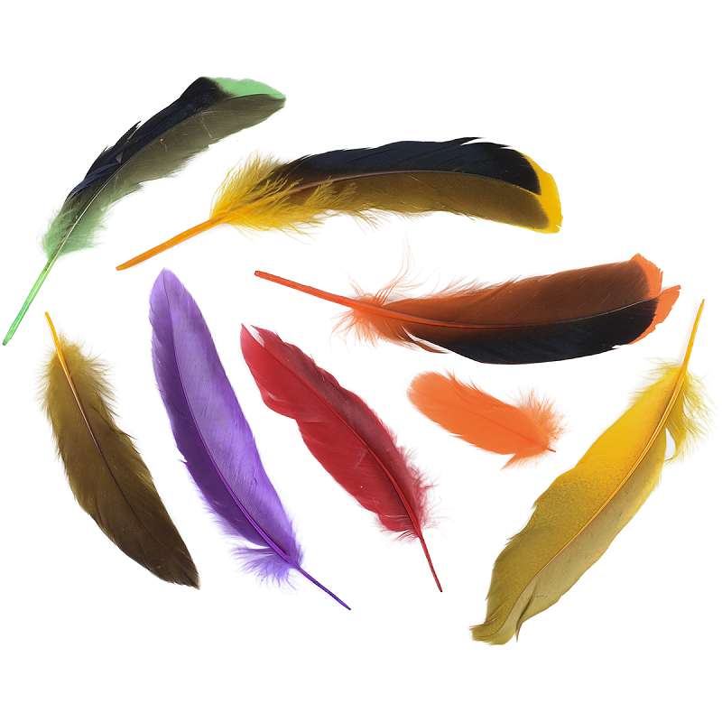 Duck Satinettes Feathers .05oz Tropical Dyed Over Natural