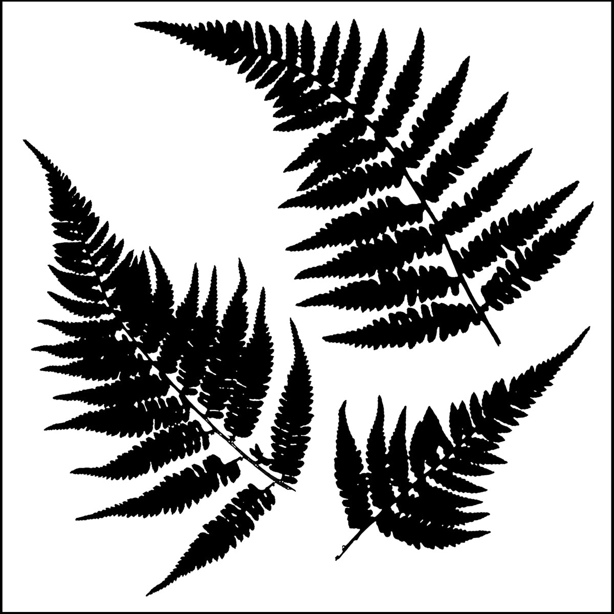Crafter's Workshop Template 6"X6" Mini Ferns