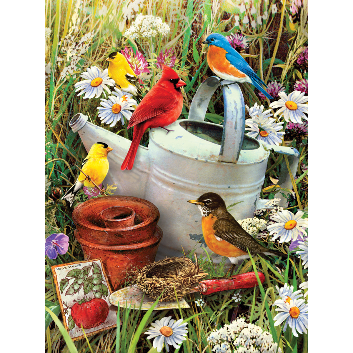 Junior Small Paint By Number Kit 8.75"X11.75" Garden Birds