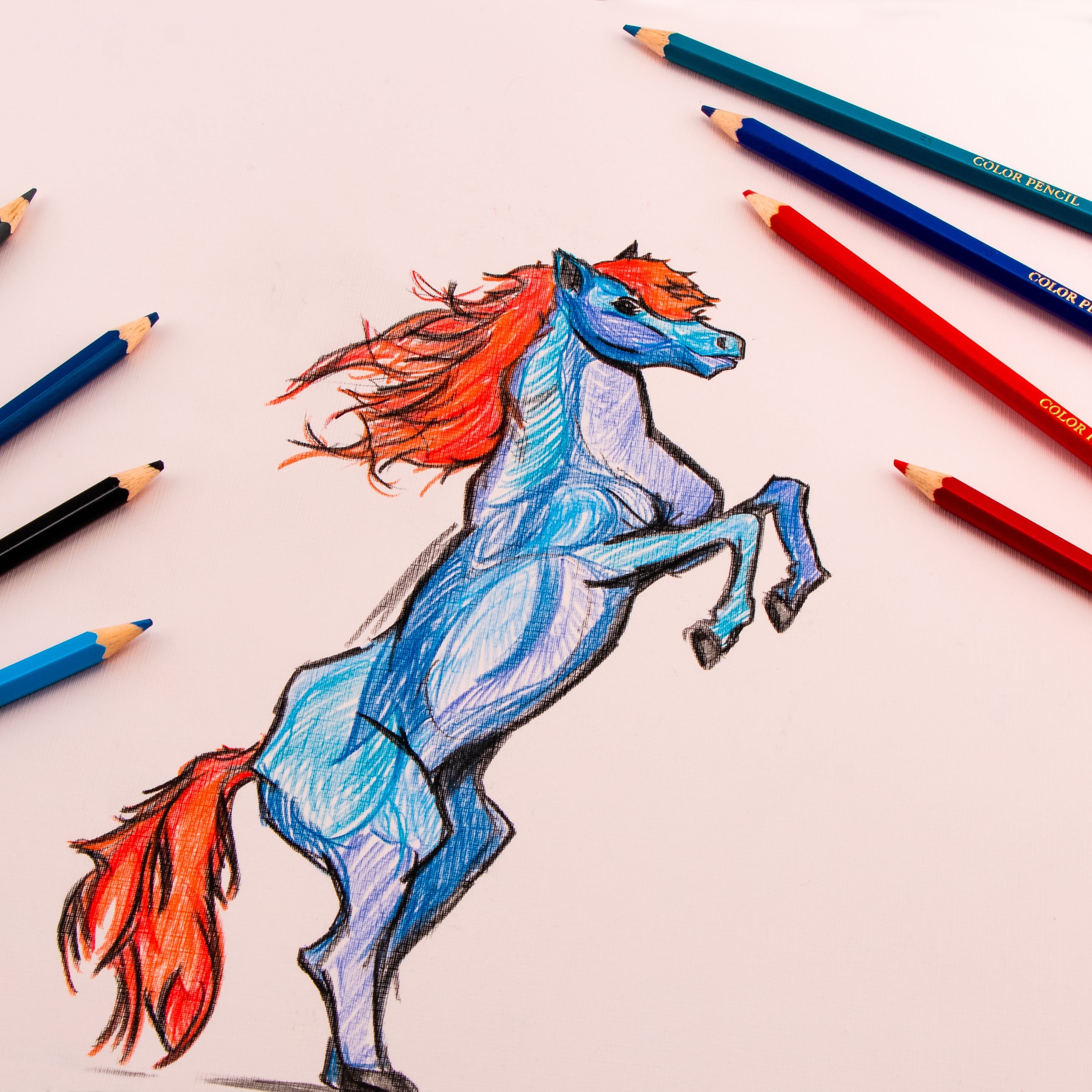 Pentel Colored Pencils 24/Pkg  