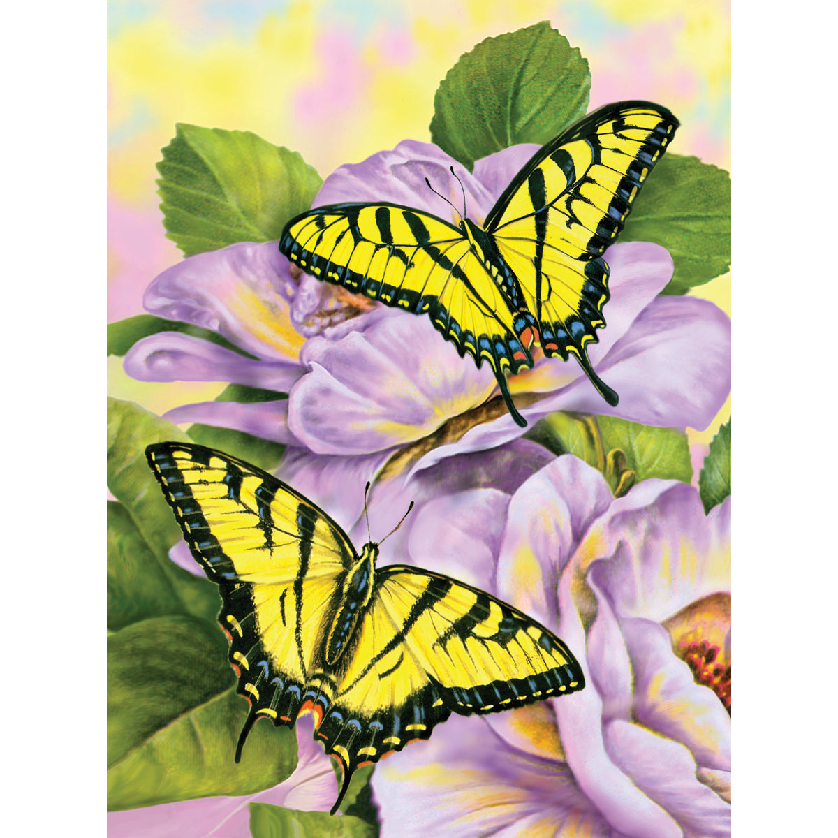 Junior Small Paint By Number Kit 8.75"X11.75" Swallowtail Butterflies