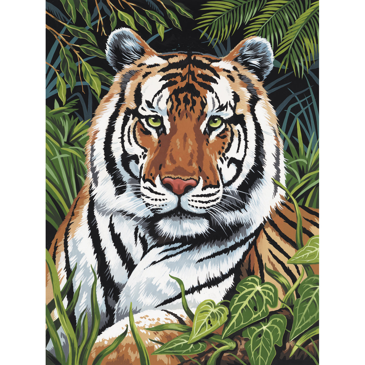 Junior Small Paint By Number Kit 8.75"X11.75" Tiger In Hiding