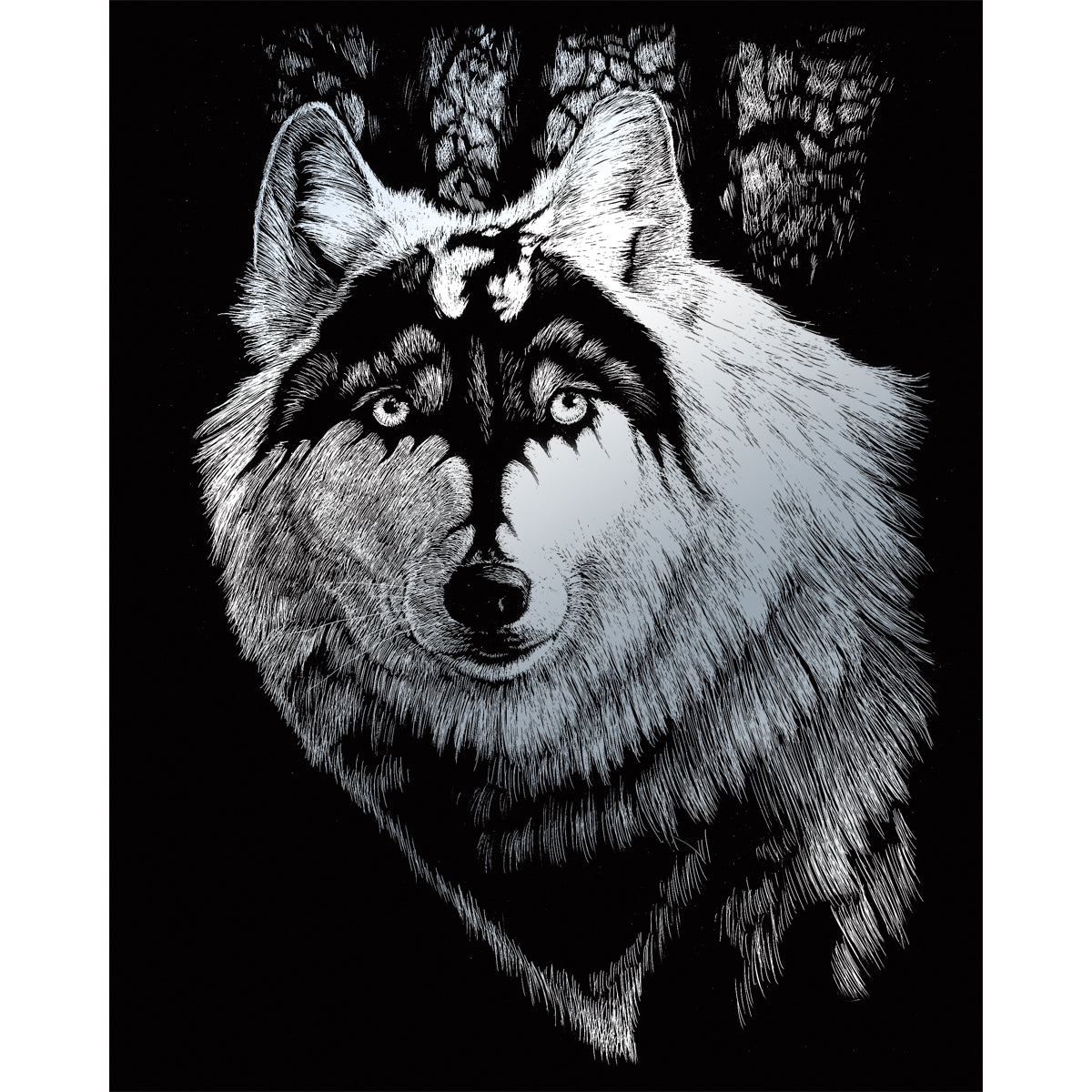 Silver Foil Engraving Art Kit 8"X10" Dragon Wolf