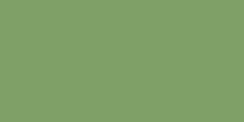 Americana Acrylic Paint 2oz Aloe