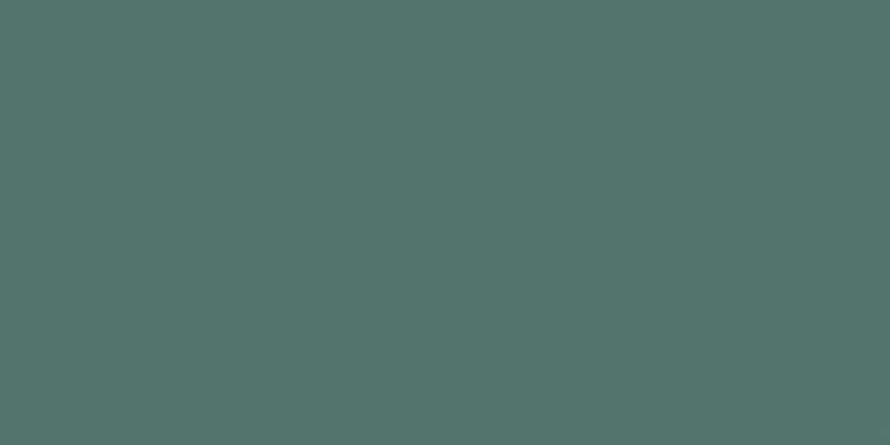 Americana Acrylic Paint 2oz Thicket