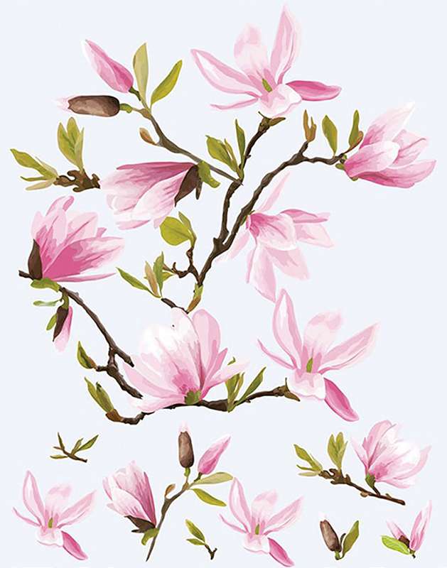 Dress My Craft Fabric Transfer Sheet 24X34cm Magnolias