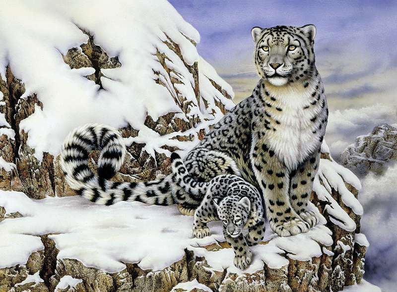 Junior Large Paint By Number Kit 15.25"X11.25" Alpine Royalty