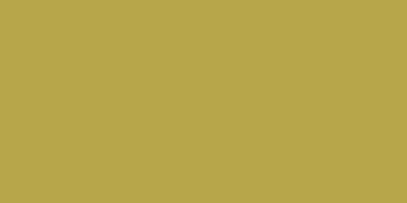 Bruynzeel Design Coloured Pencil Gold