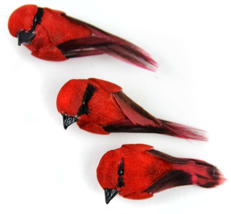 Mini Natural Bird .5" 3/Pkg Red