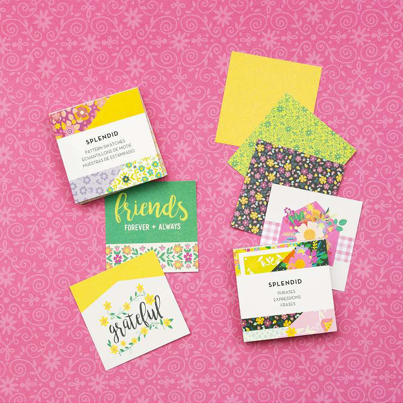 Paige Evans Splendid Mini Swatch Books 2"X2" 72/Pkg-Pattern & Phrase, 36 Sheets Each