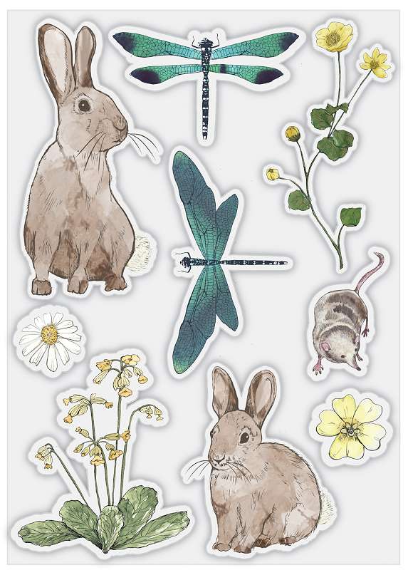 Craft Consortium A5 Clear Stamps-Wildflower Meadow