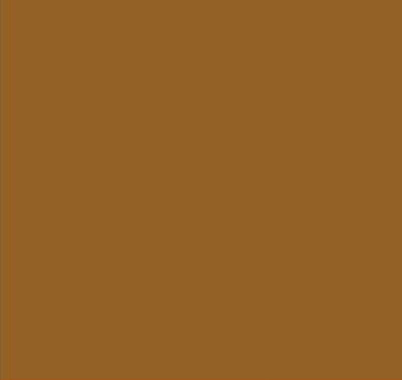 AFV Series: Nº6 Earth Yellow FS30257 3G Acrylic Paint 17ml Bottle