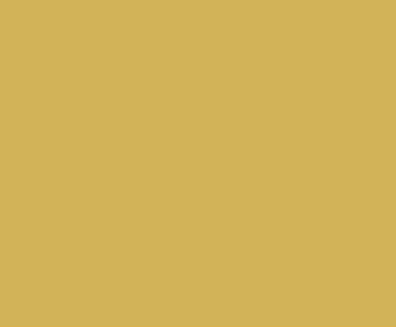 AFV Series: Light Stone No61 3G Acrylic Paint 17ml Bottle