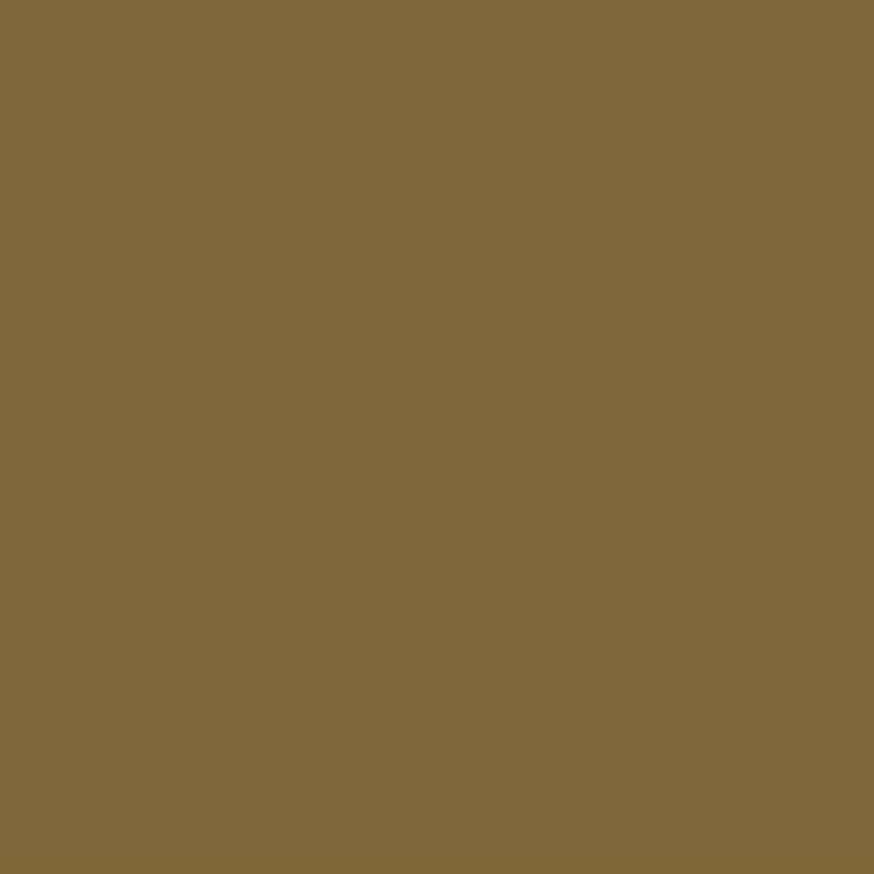 1oz Bottle RAF Dark Earth Acrylic Paint 
