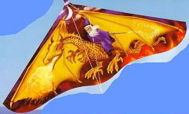 42"x22" Dragon Wizard Delta Wing Kite