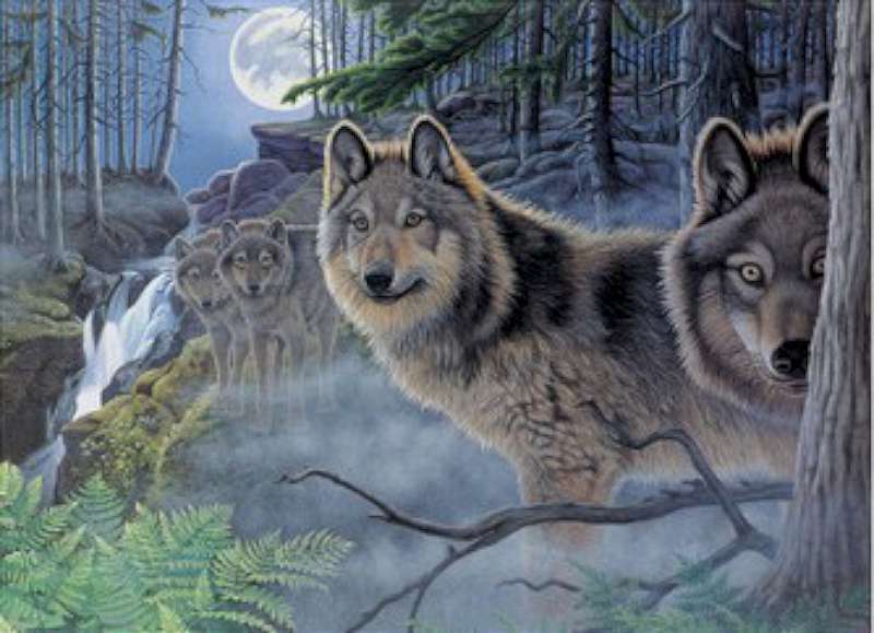 Paint By Number Kit 15.375"X11.25" Mystical Moonlight
