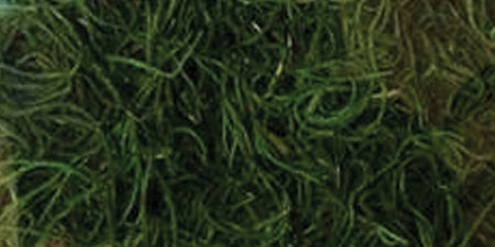 Preserved Spanish Moss 108.5 Cubic Inches Apple Green