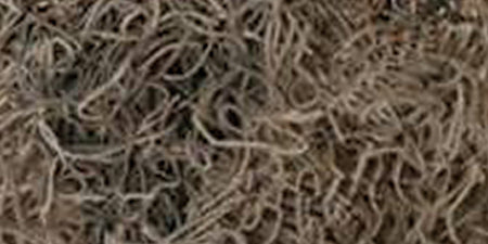 Preserved Spanish Moss 108.5 Cubic Inches Natural