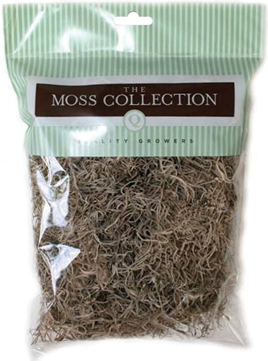 Preserved Spanish Moss 108.5 Cubic Inches Natural