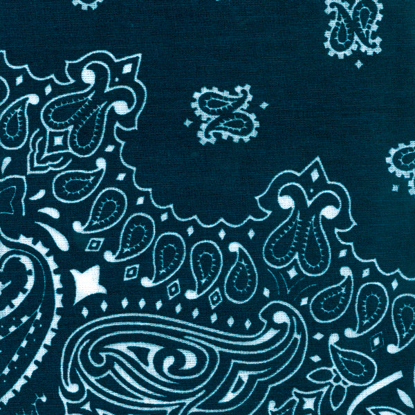 Hav-A-Hank Paisley Bandanna 22"X22" Navy