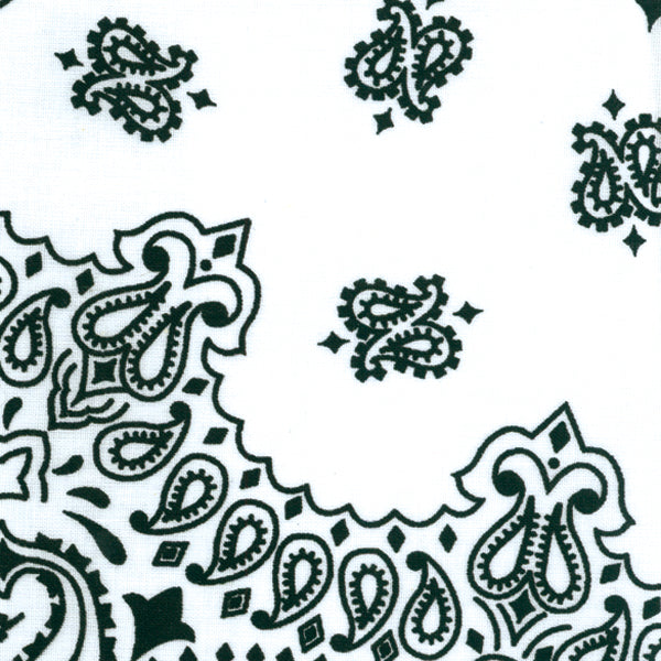 Hav-A-Hank Paisley Bandanna 22"X22" White