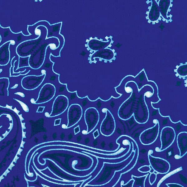 Hav-A-Hank Paisley Bandanna 22"X22" Royal