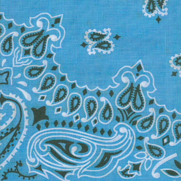 Hav-A-Hank Paisley Bandanna 22"X22" Light Blue