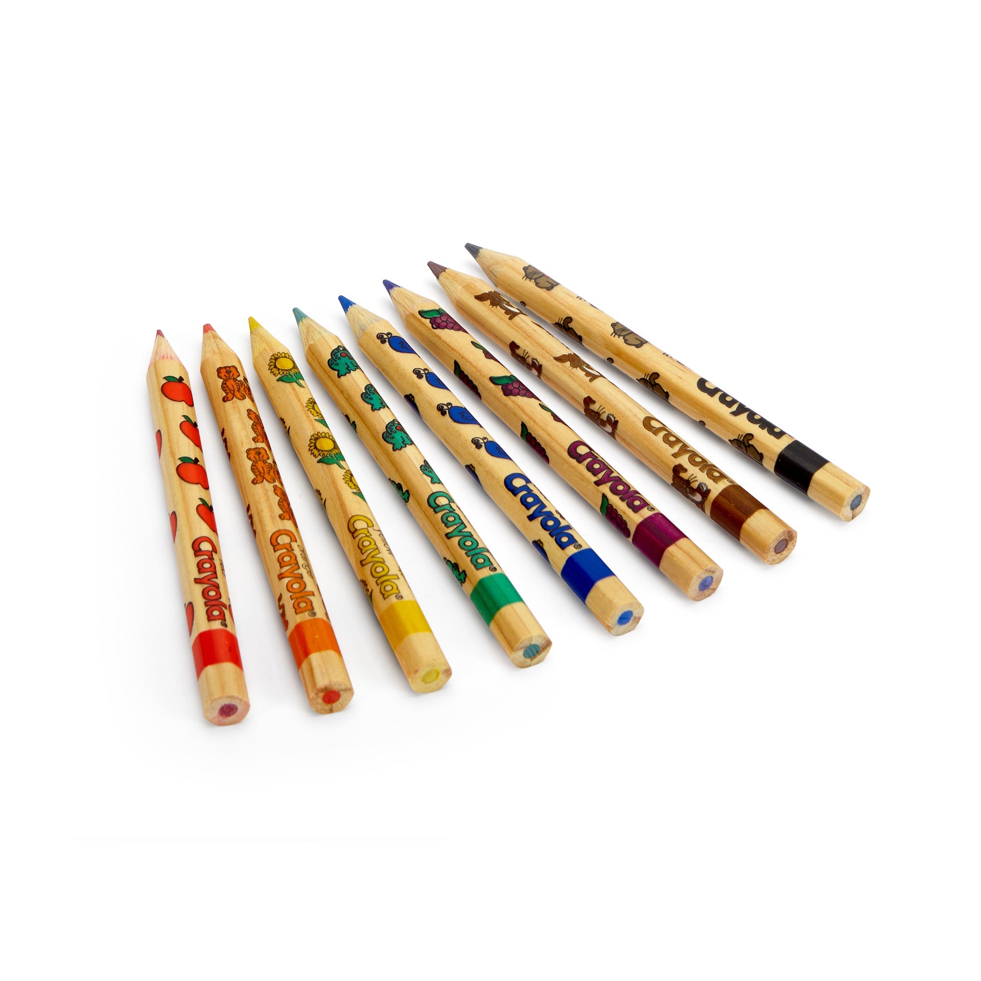 Crayola Write Start Colored Pencils 8/Pkg Long