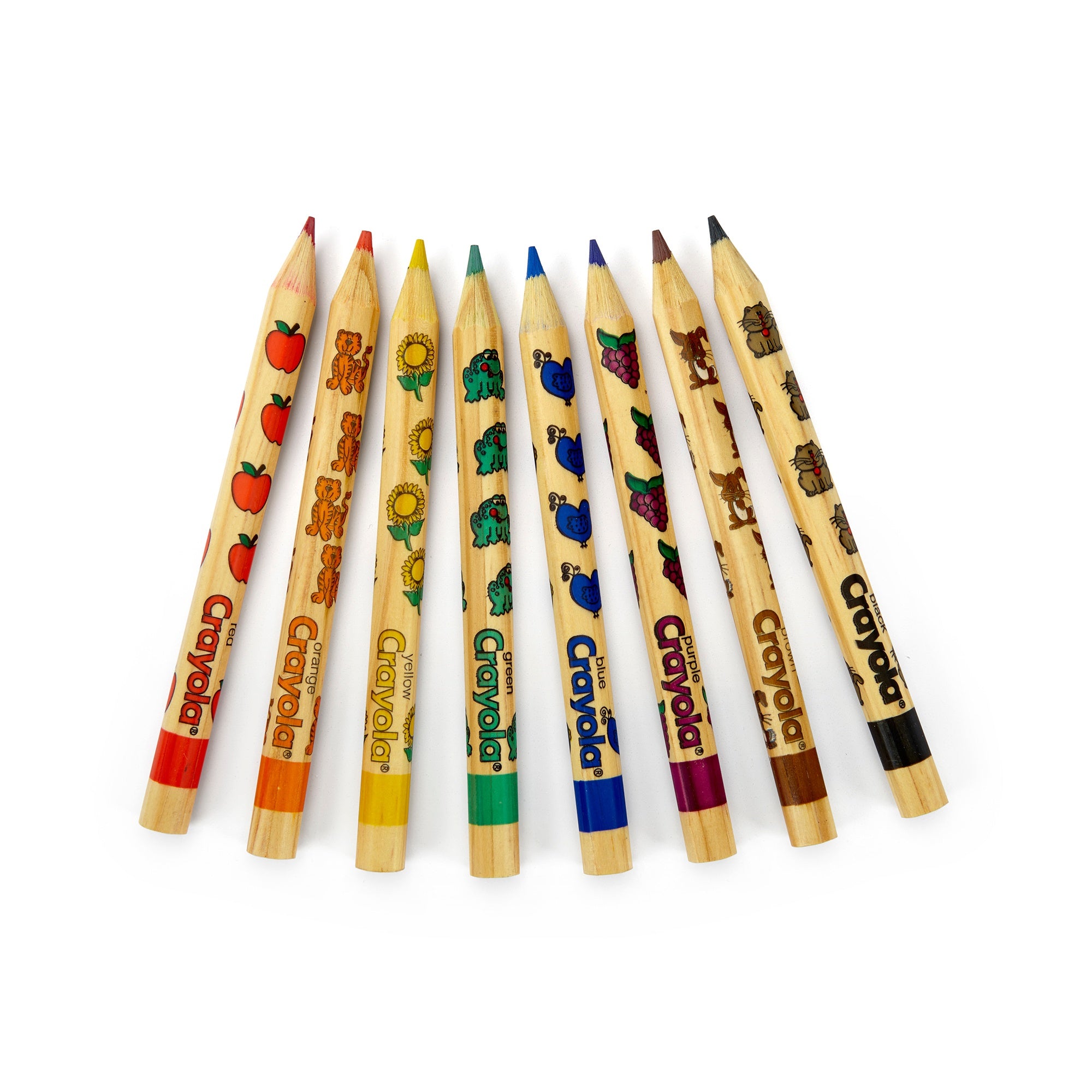 Crayola Write Start Colored Pencils 8/Pkg Long