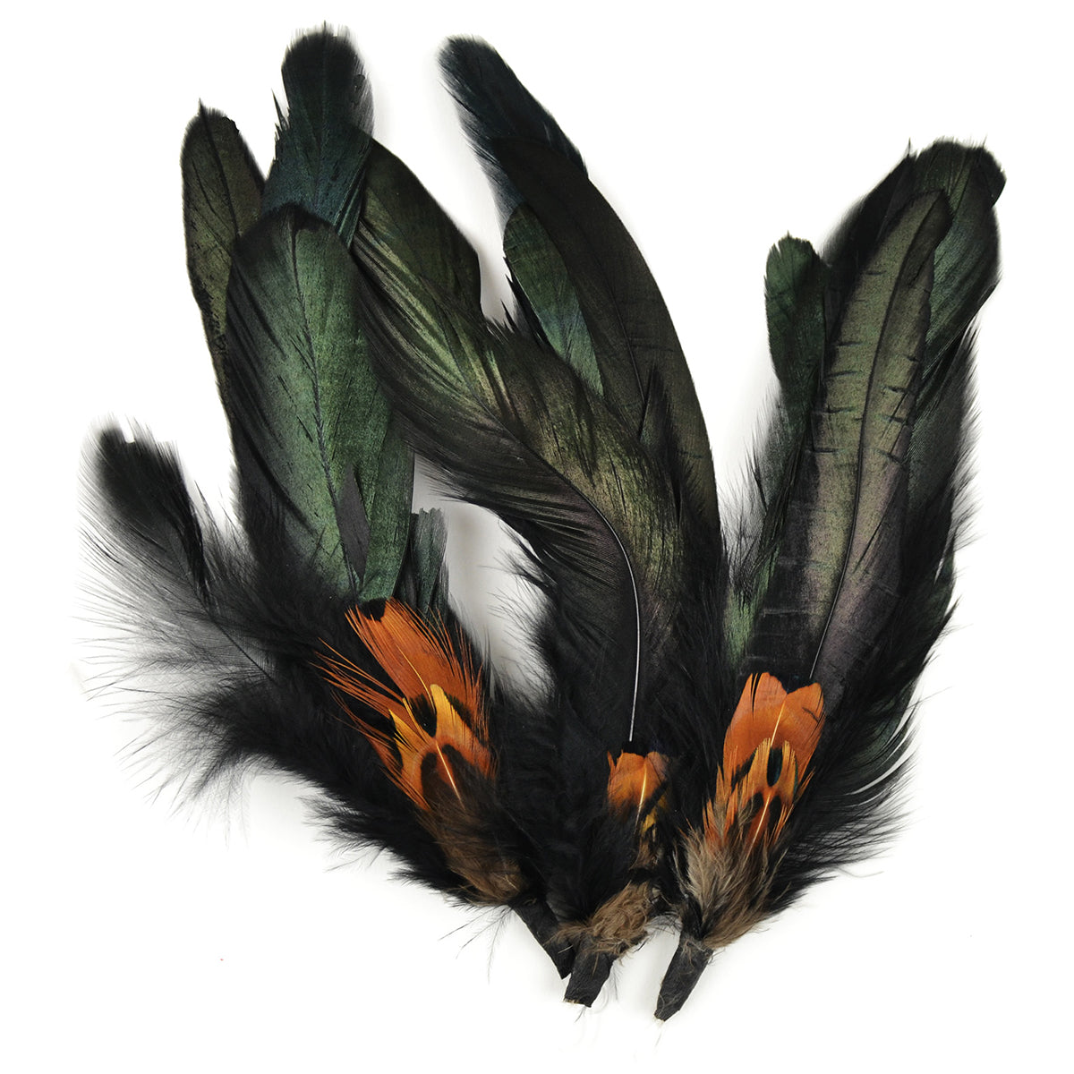 Feather Picks 5.5" 3/Pkg Natural Cocktail & Pheasant