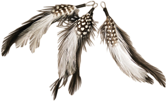 Feather Picks 5" 3/Pkg Black & White