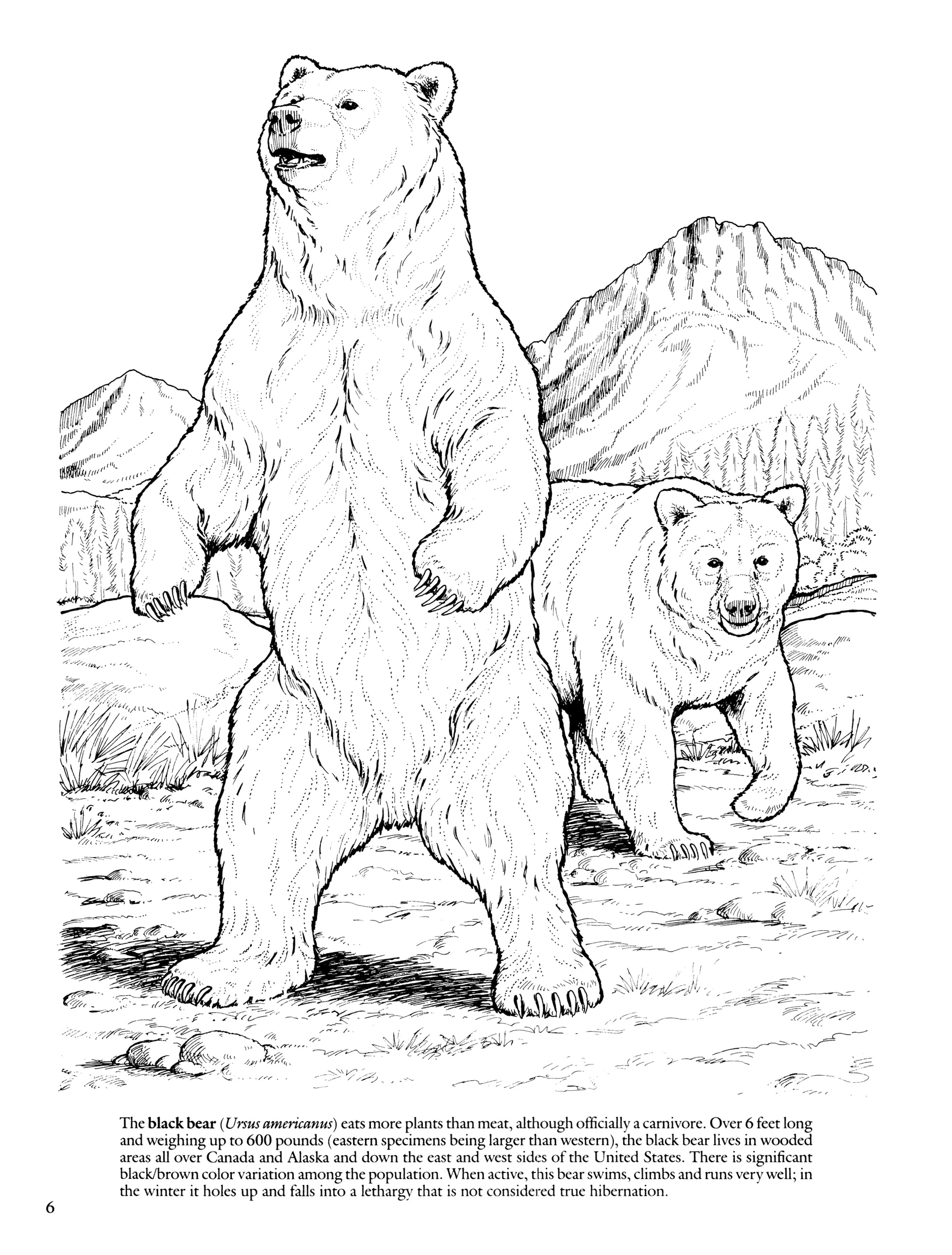 Dover Publications Wild Animals Coloring Book