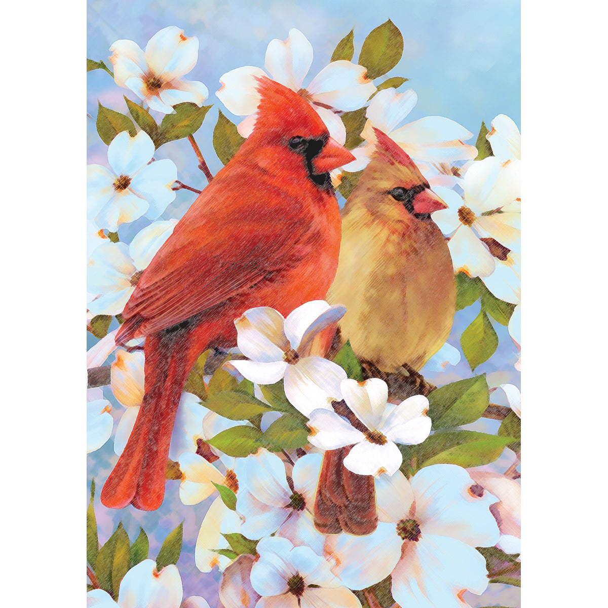 Mini Color Pencil By Number Kit 5"X7" Cardinal Pair