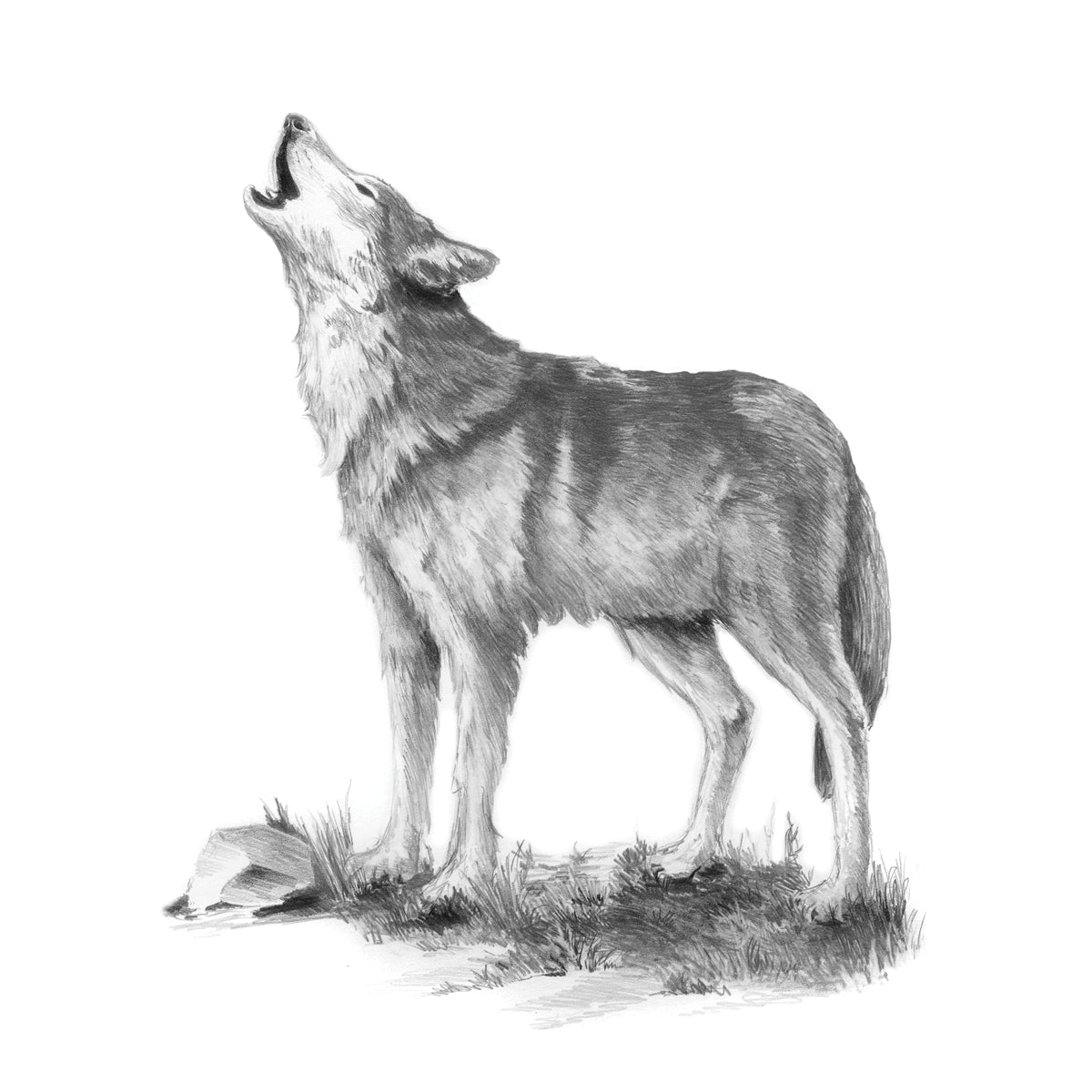 Sketching Made Easy Kit 5'x7" Howl