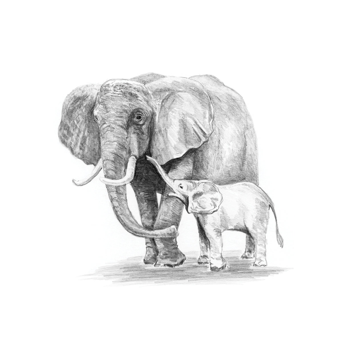 Sketching Made Easy Kit 5'x7" Elephant & Baby