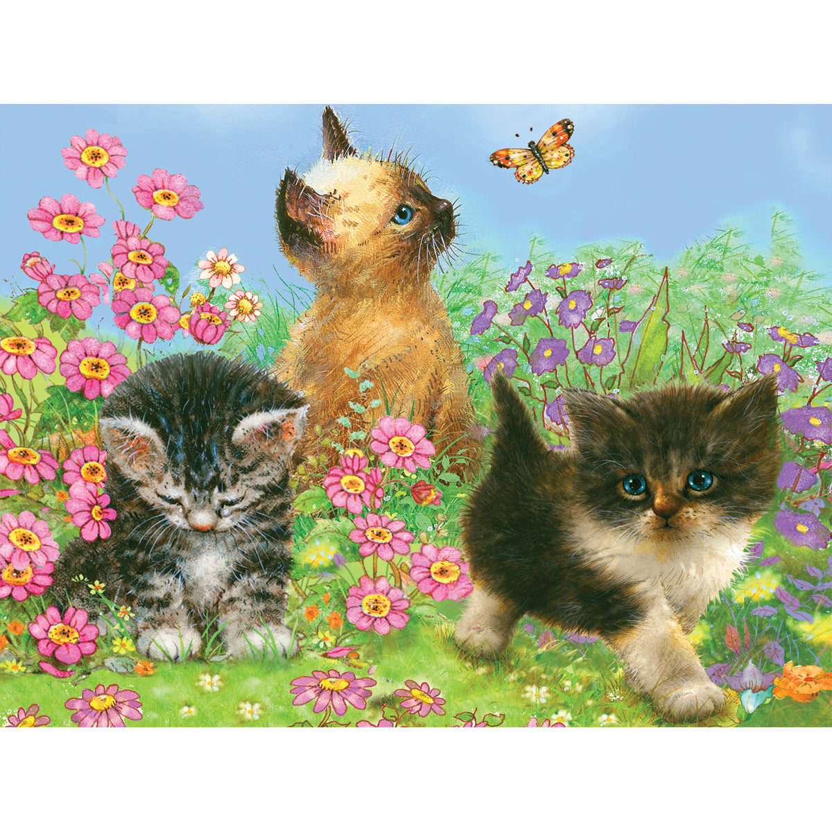 Color Pencil By Number Kit 8.75"X11.75" Kittens