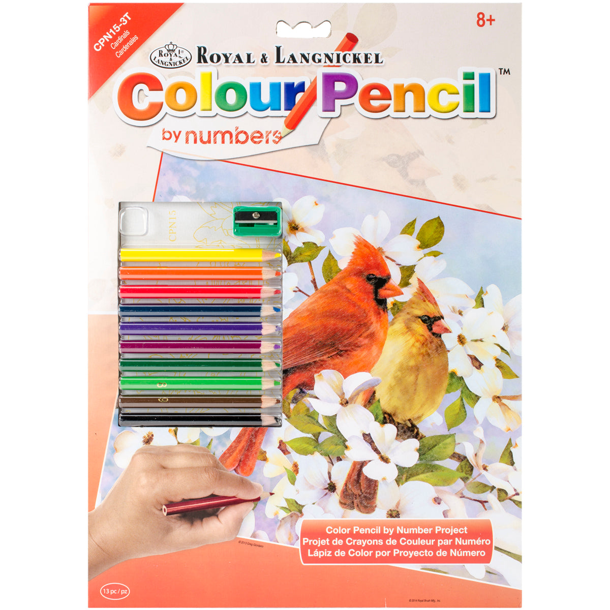 Color Pencil By Number Kit 8.75"X11.75" Cardinals