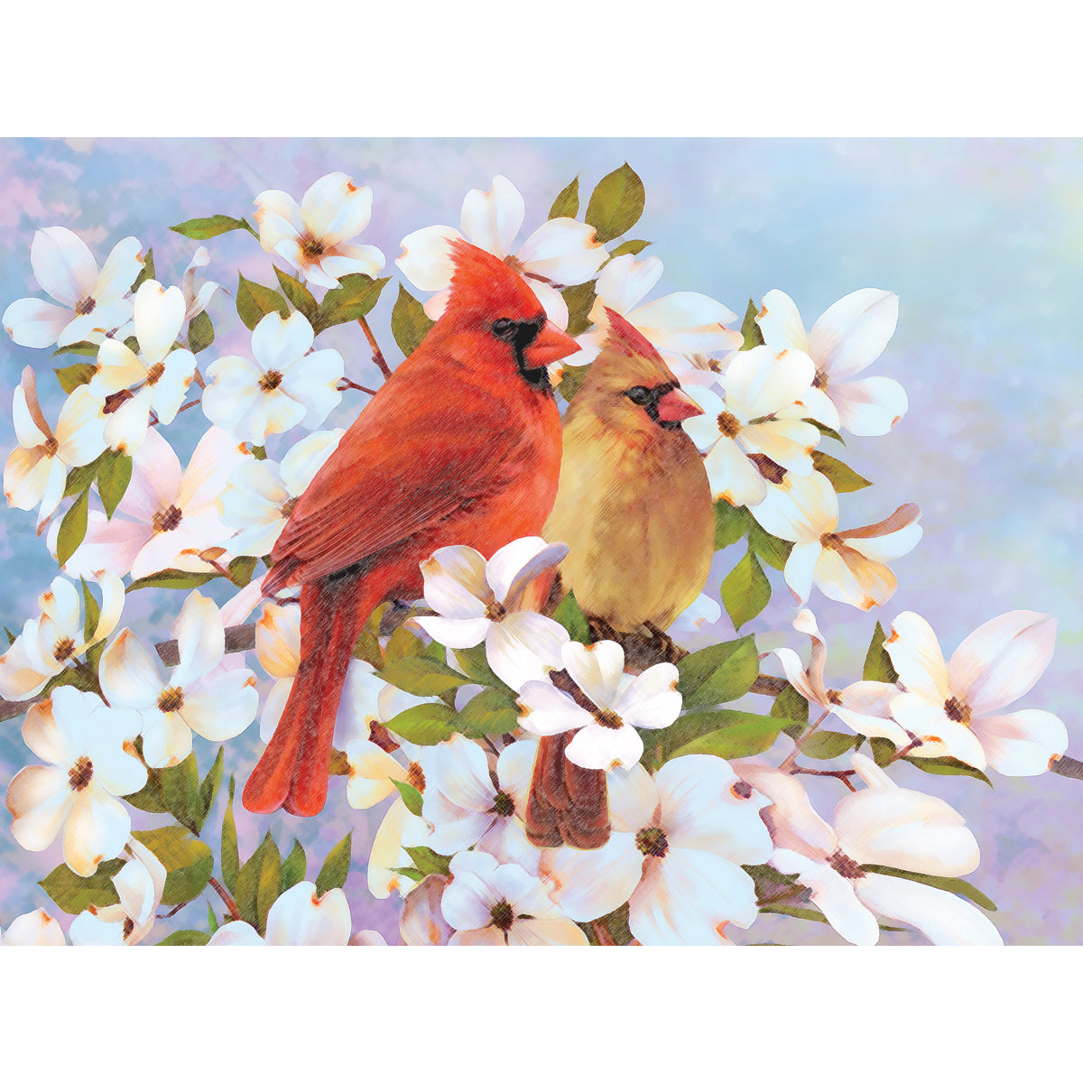 Color Pencil By Number Kit 8.75"X11.75" Cardinals