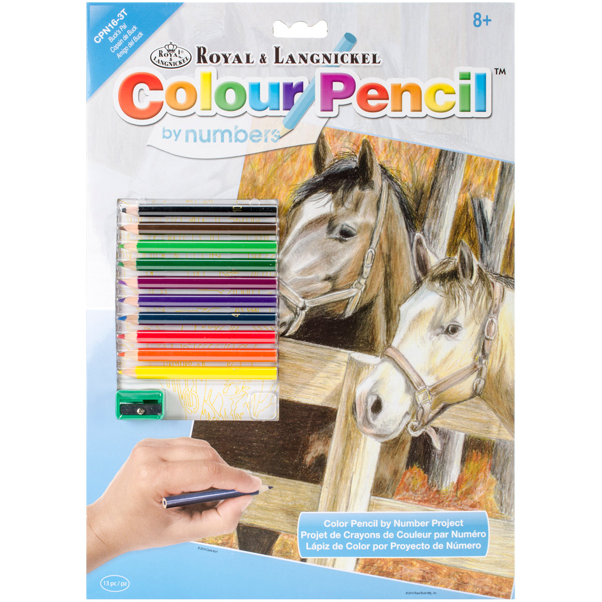 Color Pencil By Number Kit 8.75"X11.75" Buck's Pal