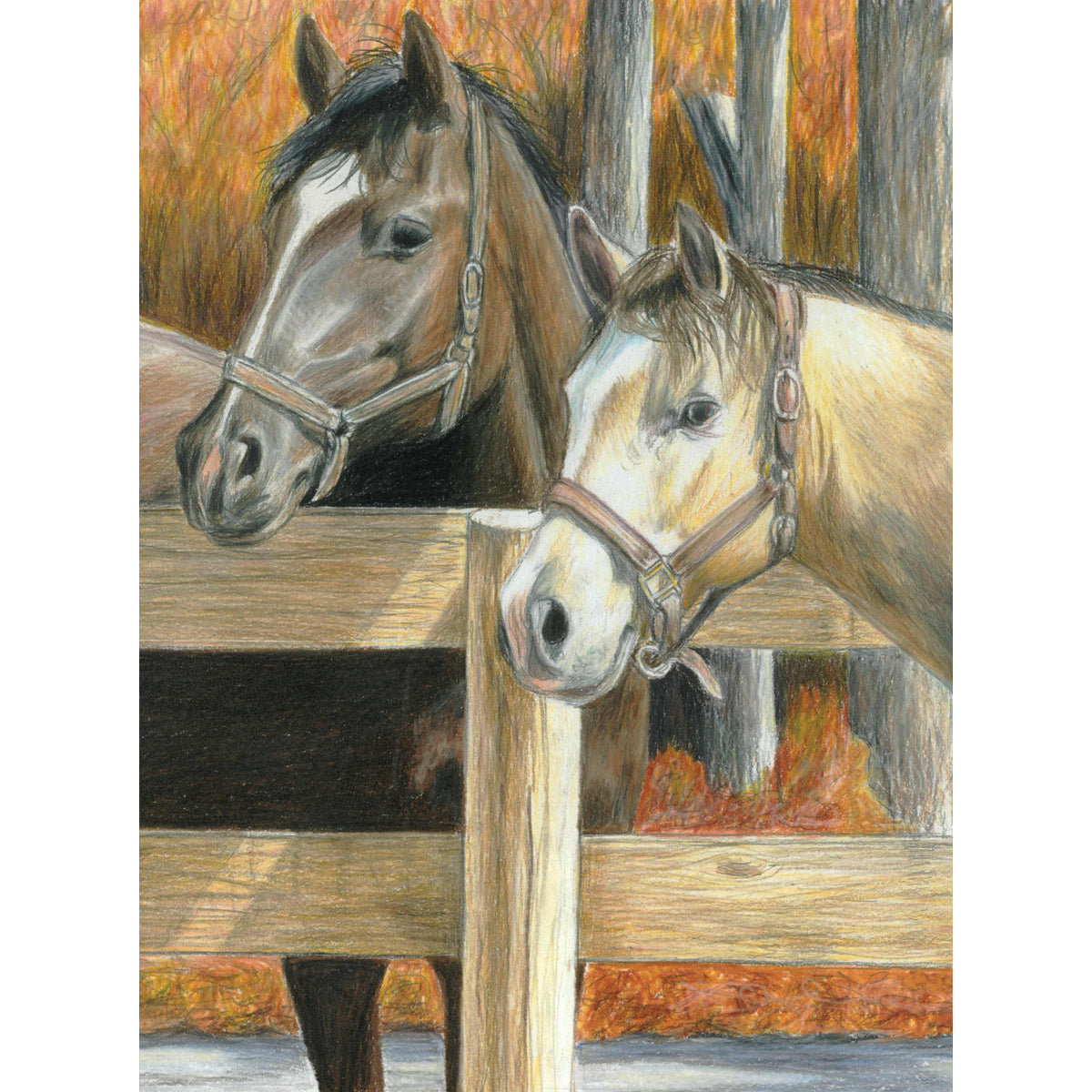 Color Pencil By Number Kit 8.75"X11.75" Buck's Pal