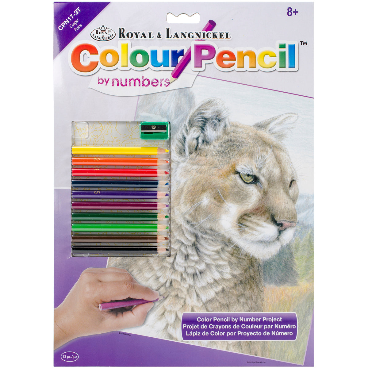 Color Pencil By Number Kit 8.75"X11.75" Cougar