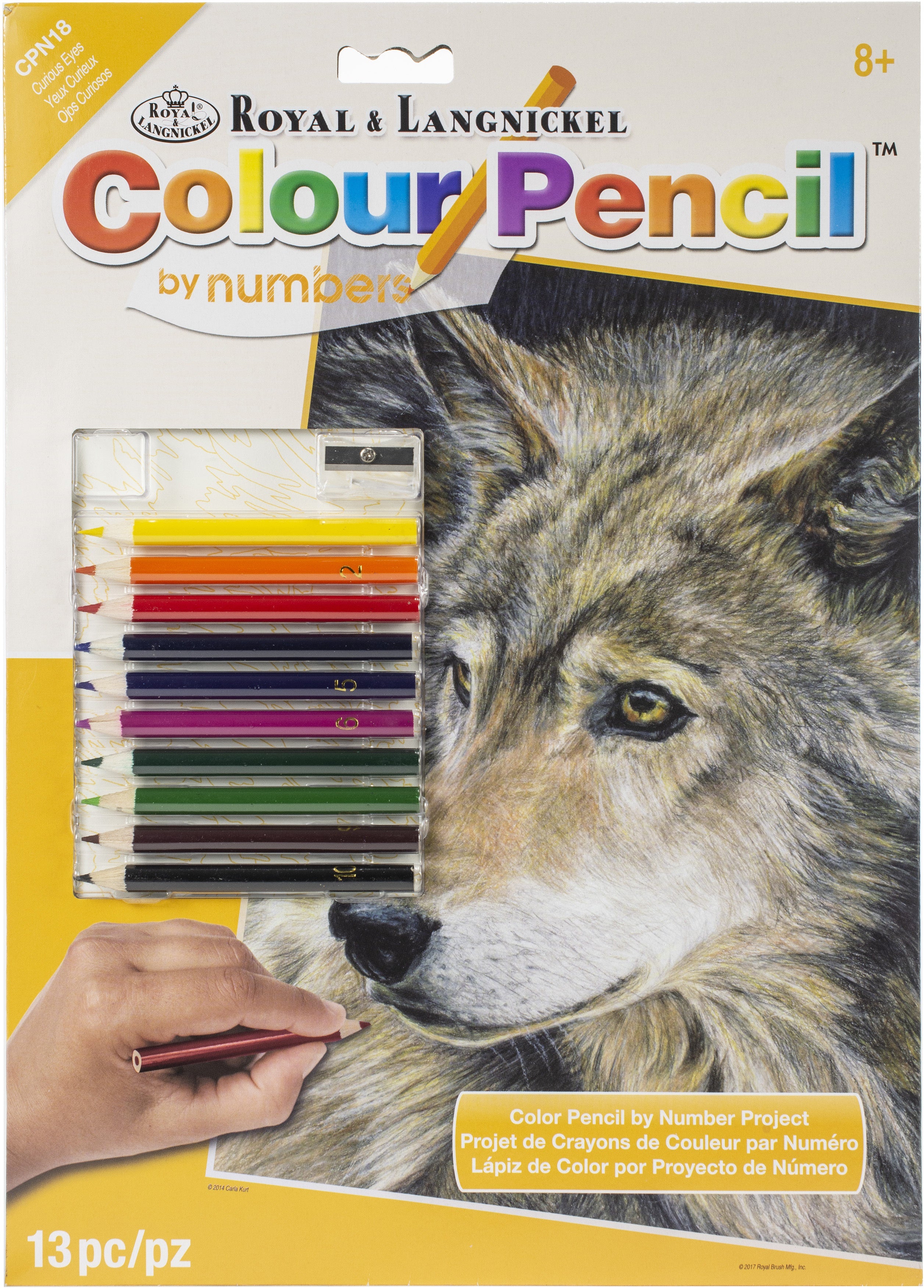 Color Pencil By Number Kit 8.75"X11.75" Curious Eyes