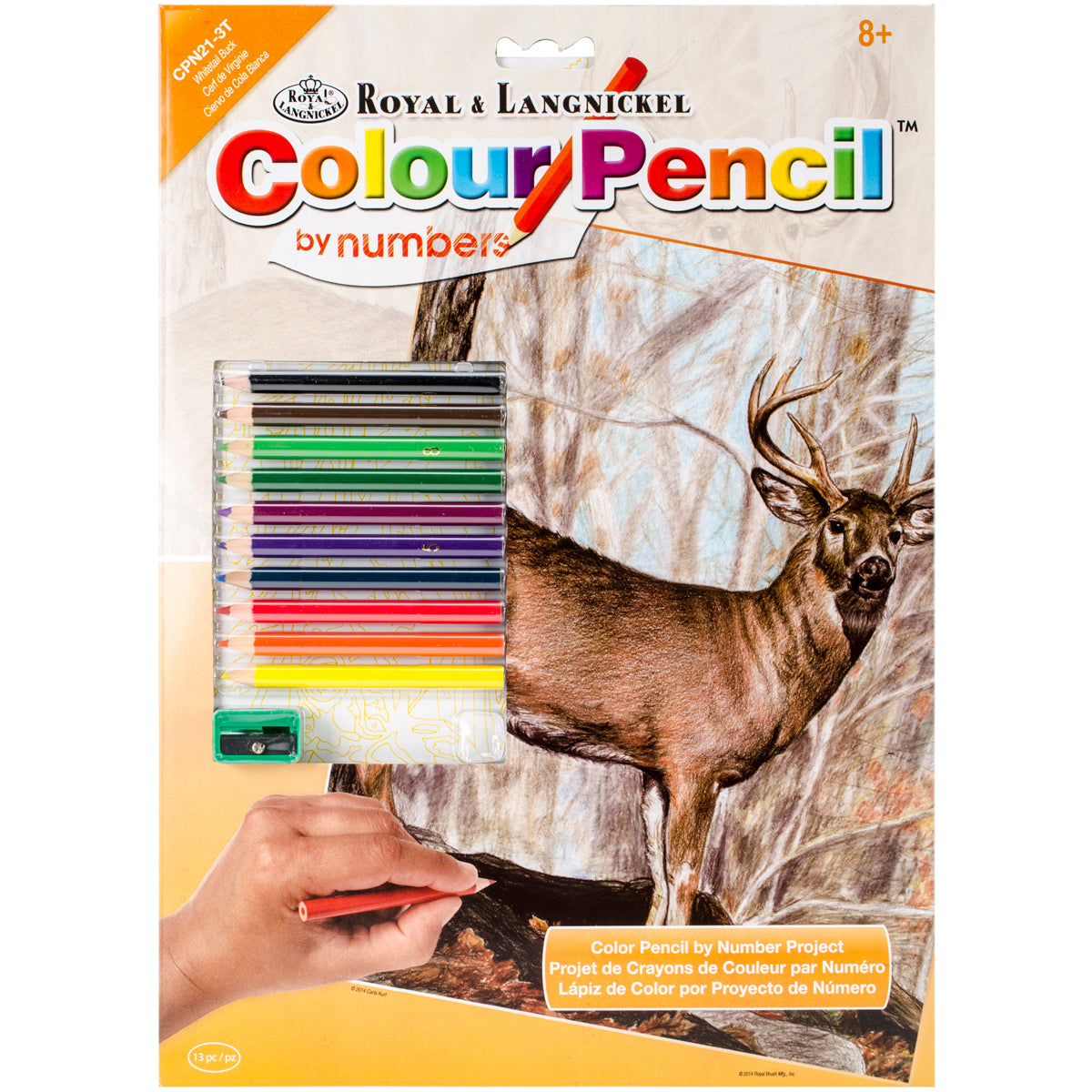 Color Pencil By Number Kit 8.75"X11.75" Whitetail Buck