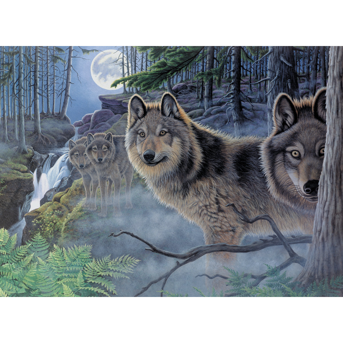 Paint By Number Kit 15.375"X11.25" Mystical Moonlight