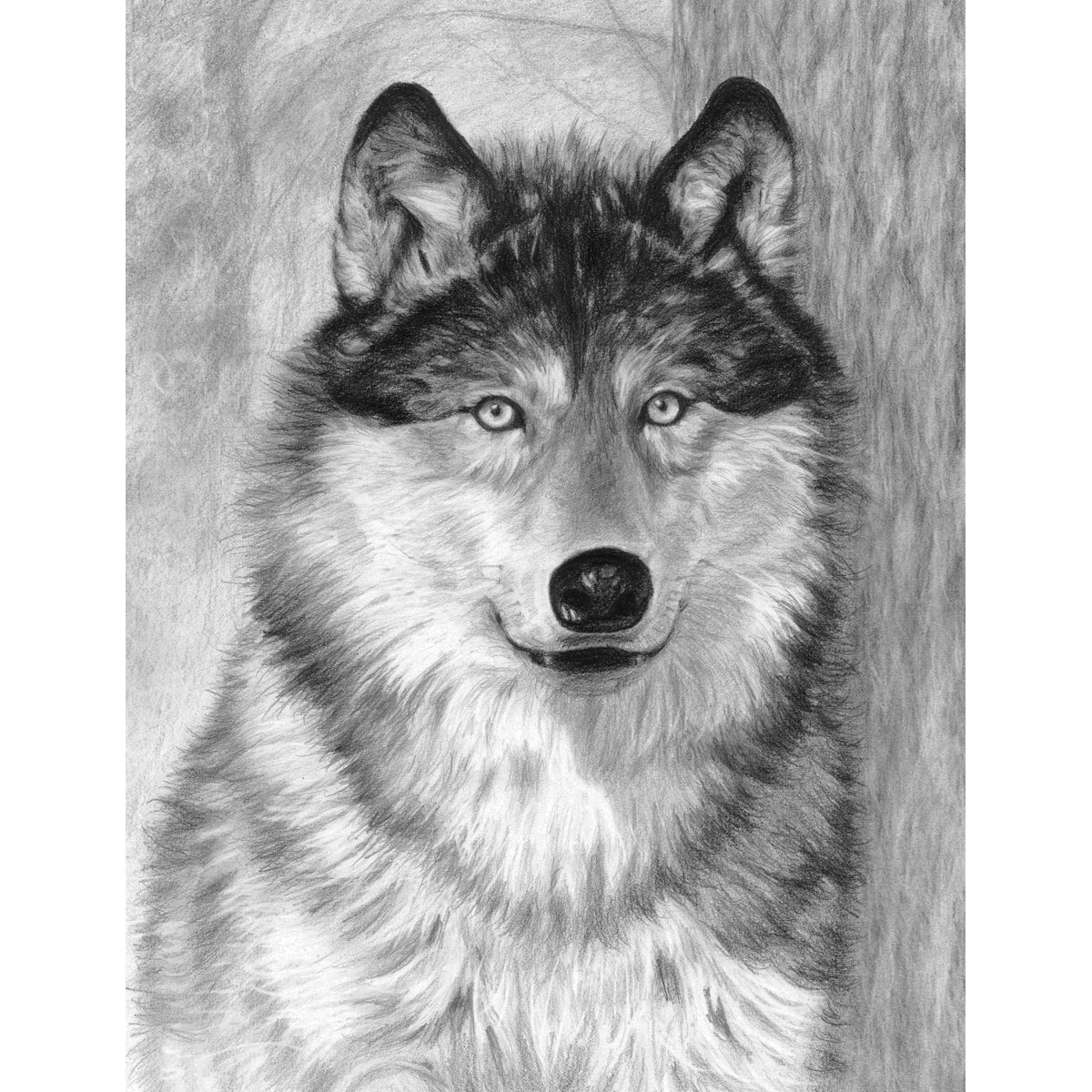 Sketching Made Easy Kit 9"X12" Alpha